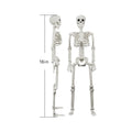 Posable Human & Dog Skeleton Set – Halloween Decoration
