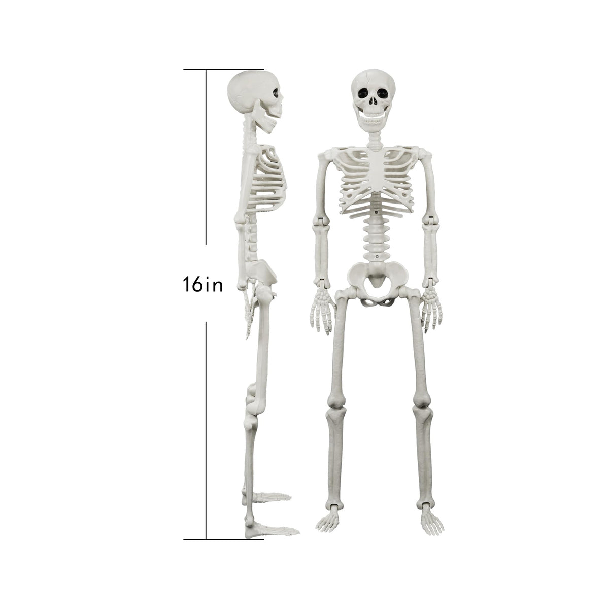 Posable Human & Dog Skeleton Set – Halloween Decoration