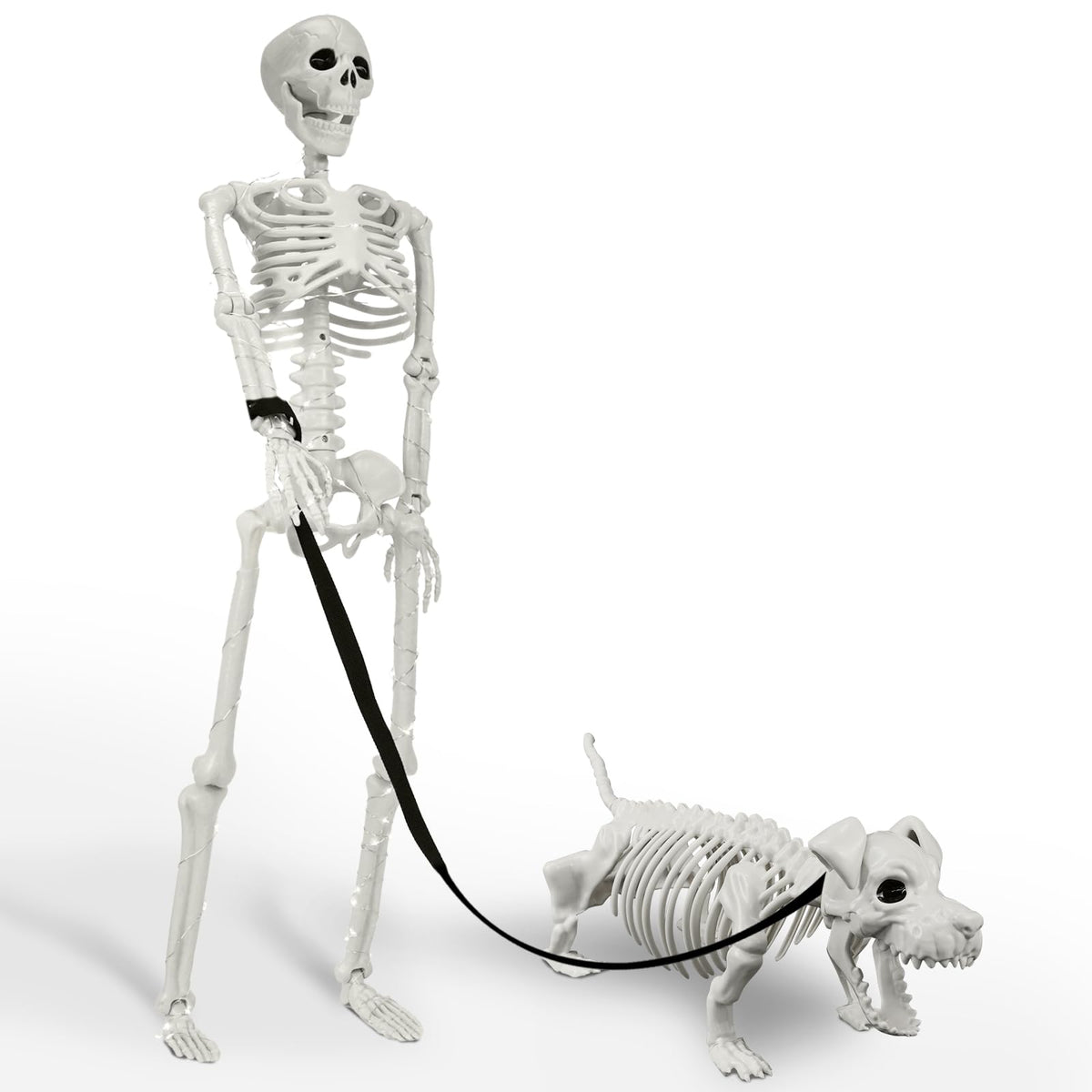 Posable Human & Dog Skeleton Set – Halloween Decoration