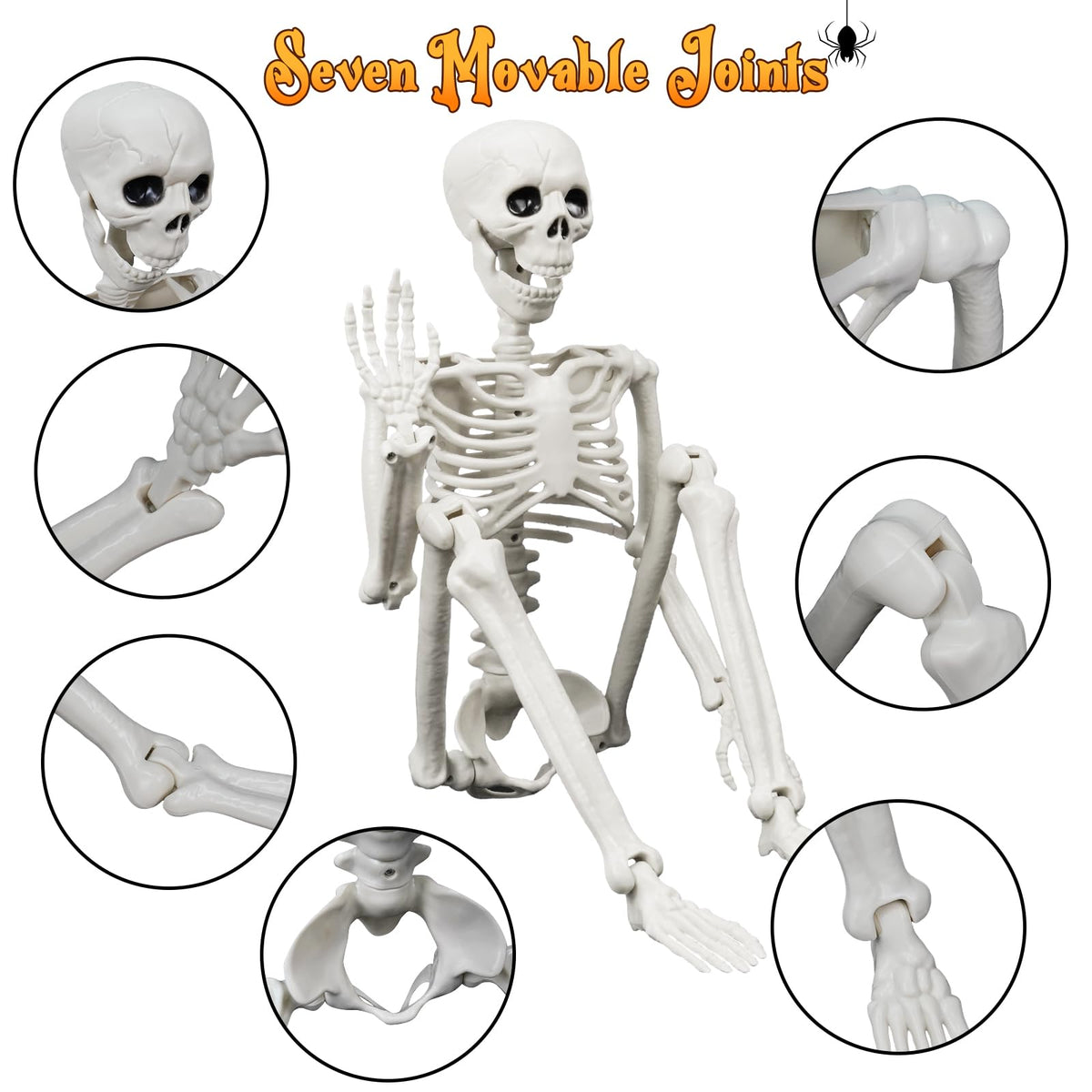 Posable Human & Dog Skeleton Set – Halloween Decoration