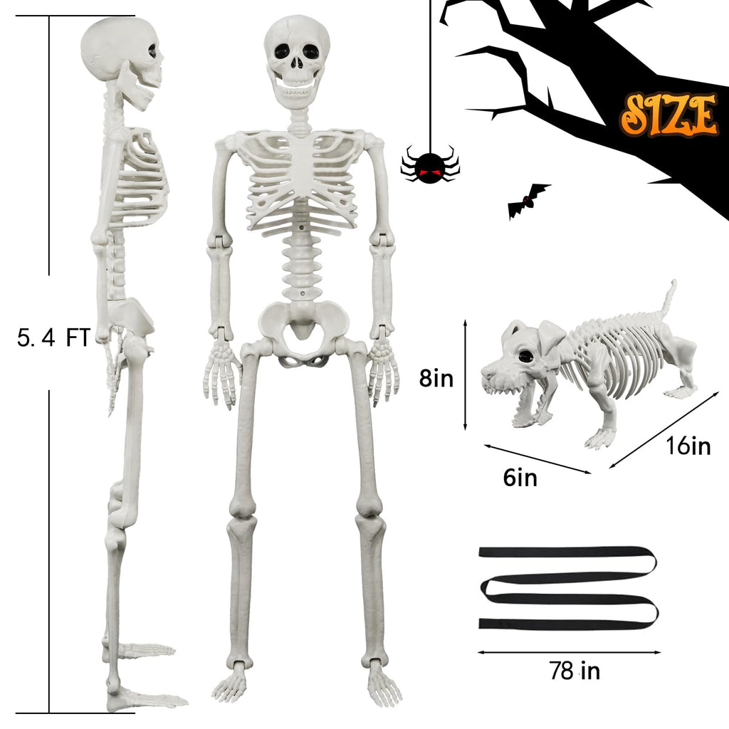 Posable Human & Dog Skeleton Set – Halloween Decoration