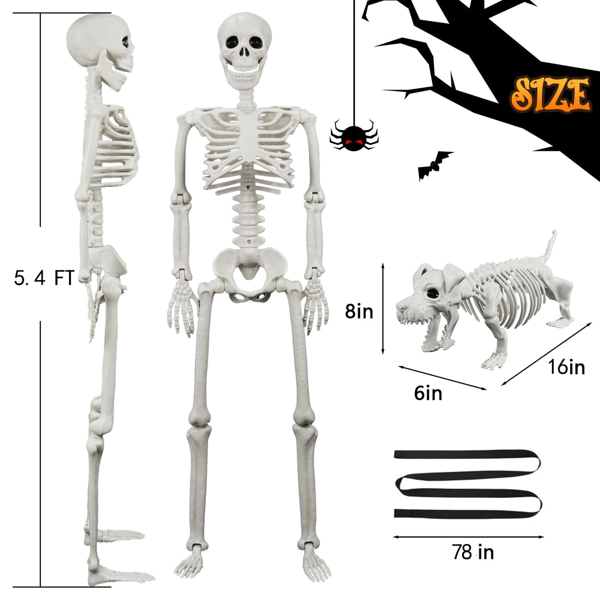 Posable Human & Dog Skeleton Set – Halloween Decoration