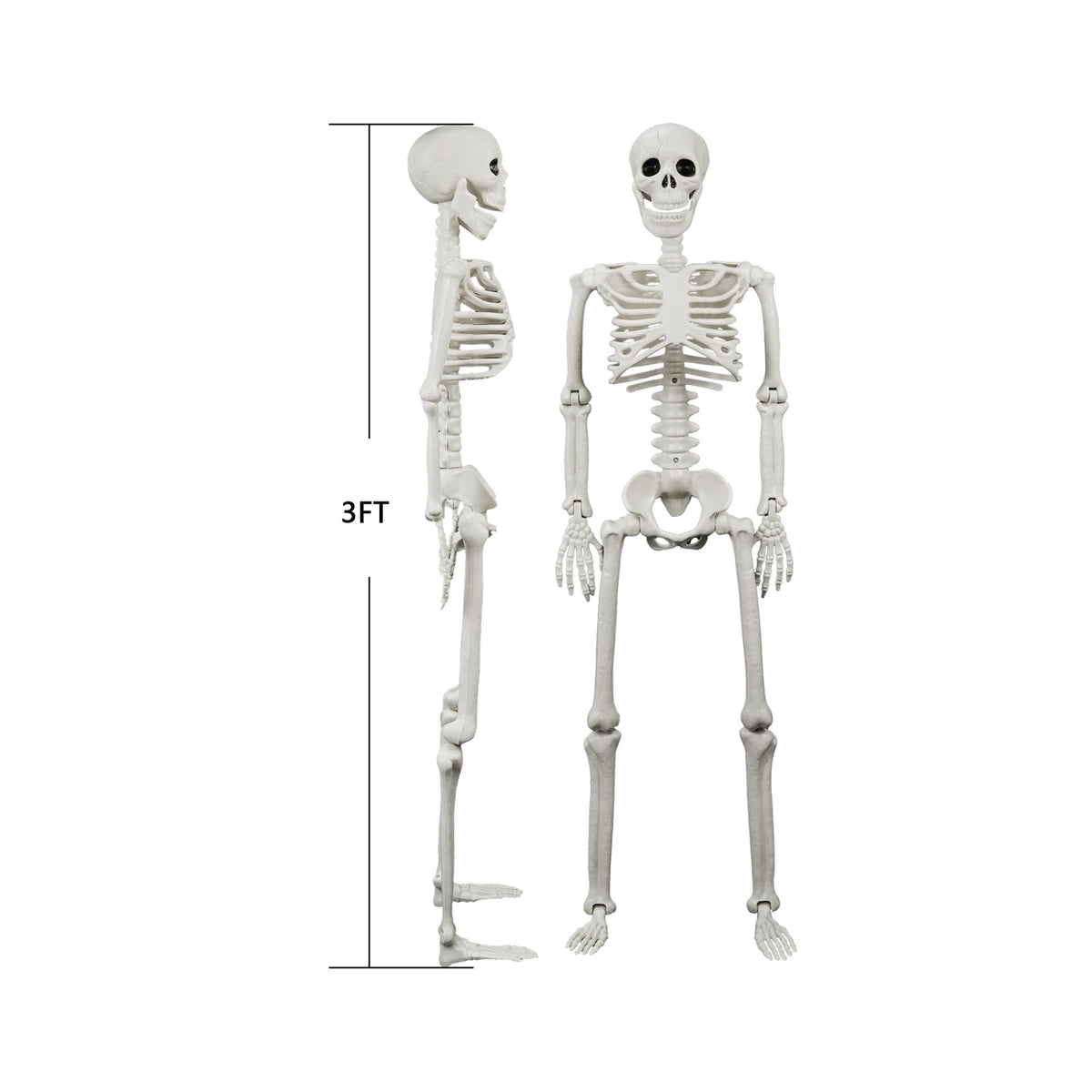 Posable Human & Dog Skeleton Set – Halloween Decoration
