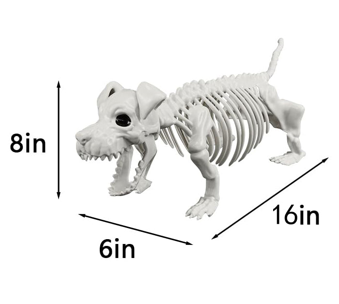 Posable Human & Dog Skeleton Set – Halloween Decoration
