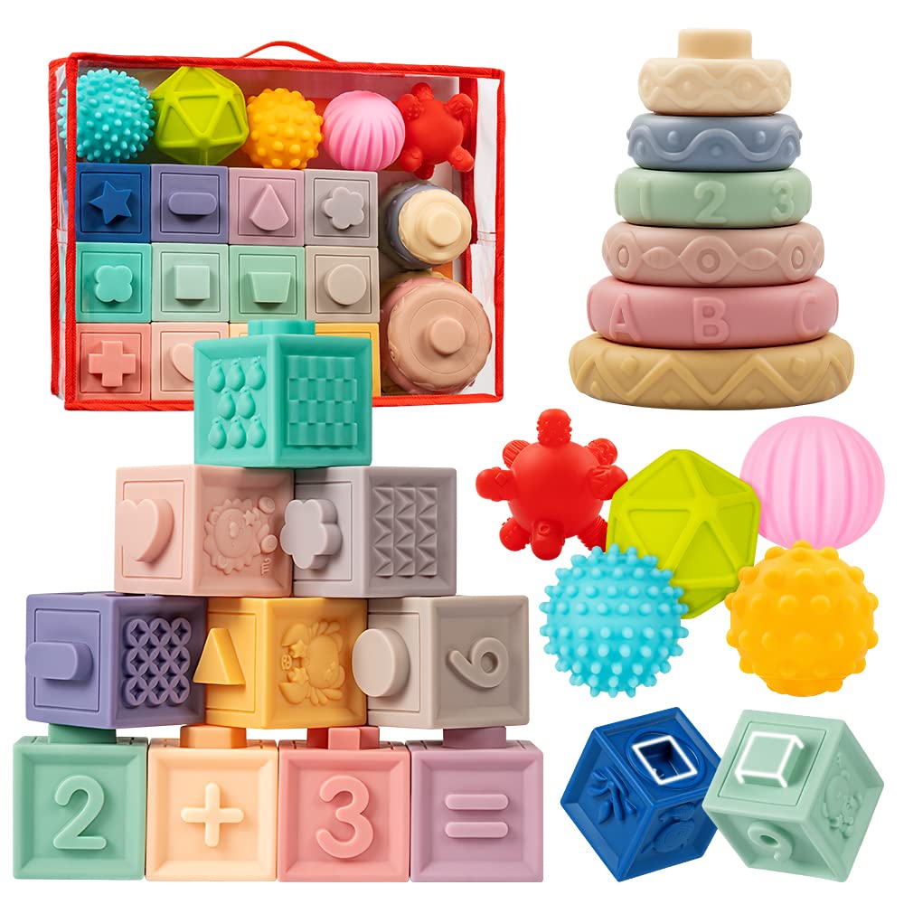 Montessori Toy for Babies 6-18 Months