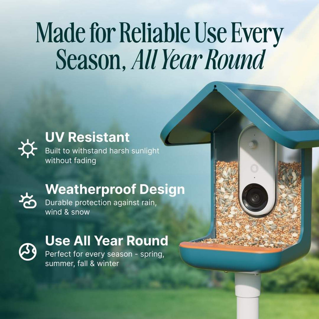 Wood Bird Feeder with Camera Solar Powered 2K HD Video Live Stream AI Bird Species Identification Ideal Present for Watching