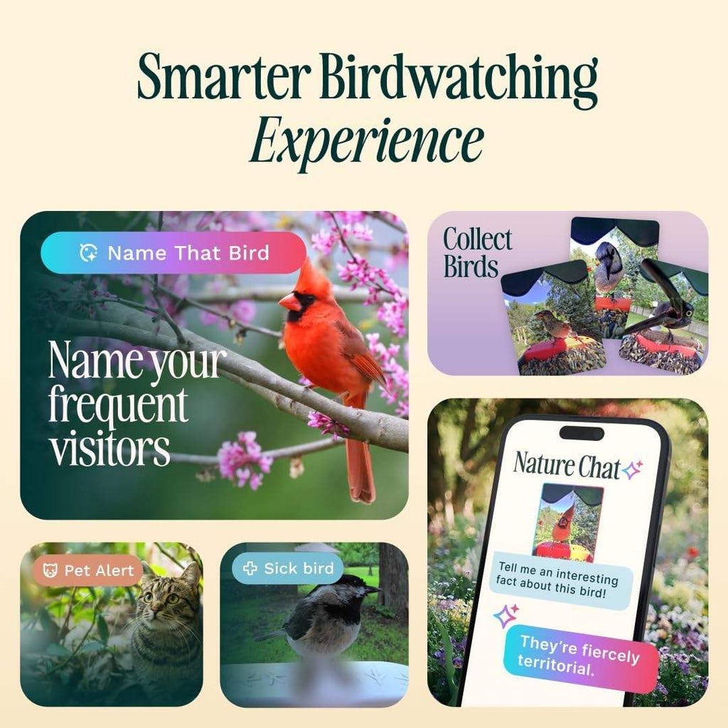 Wood Bird Feeder with Camera Solar Powered 2K HD Video Live Stream AI Bird Species Identification Ideal Present for Watching