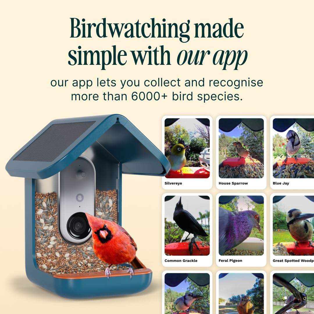 Wood Bird Feeder with Camera Solar Powered 2K HD Video Live Stream AI Bird Species Identification Ideal Present for Watching